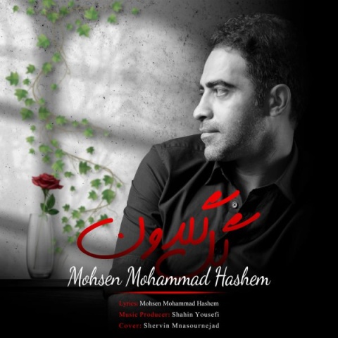 آهنگ محسن محمد هاشم گل گلدون
