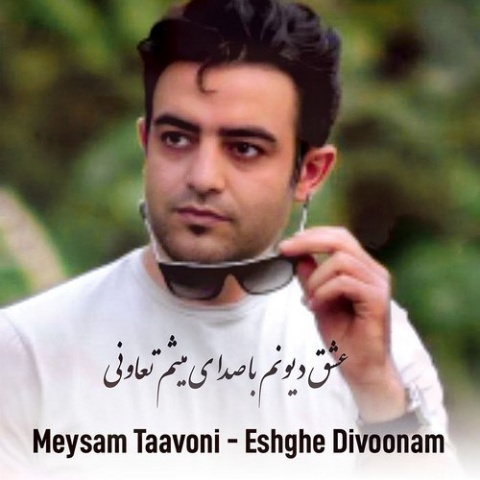 آهنگ میثم تعاونی عشق دیونم