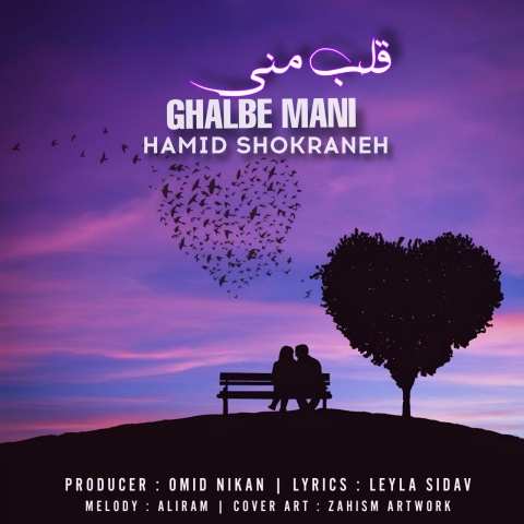 آهنگ حمید شکرانه قلب منی