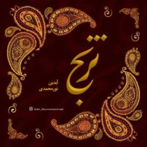 دانلود آهنگ آیدین نورمحمدی ترنج