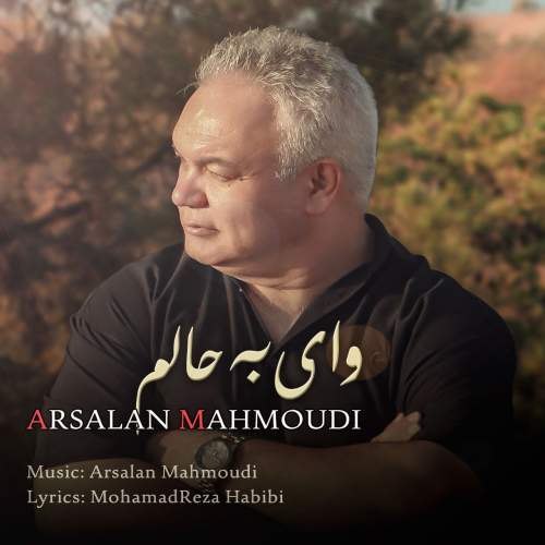 آهنگ ارسلان محمودی وای به حالم