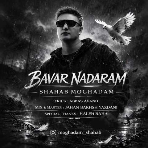 آهنگ شهاب مقدم باور ندارم (دلی)