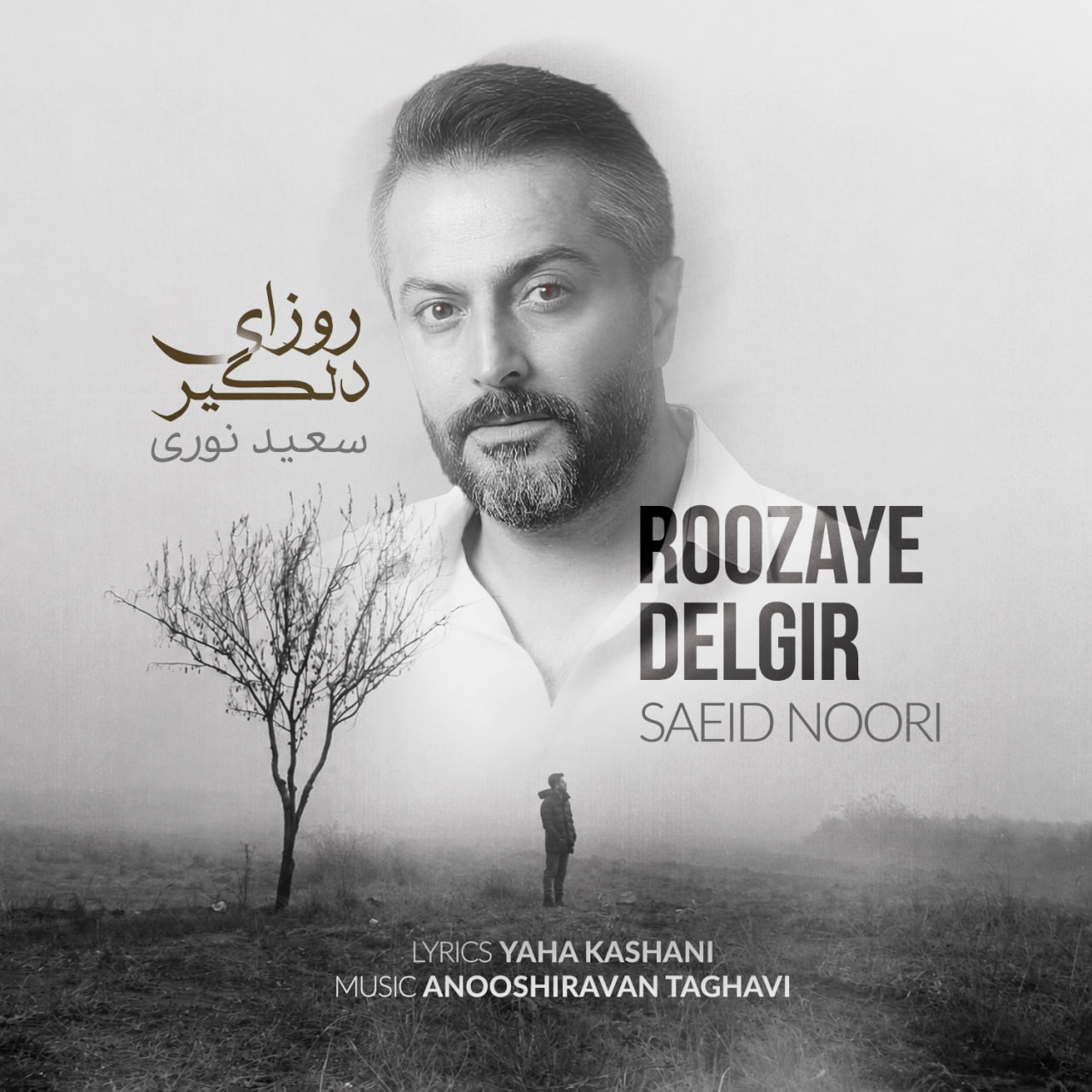 آهنگ سعید نوری روزای دلگیر